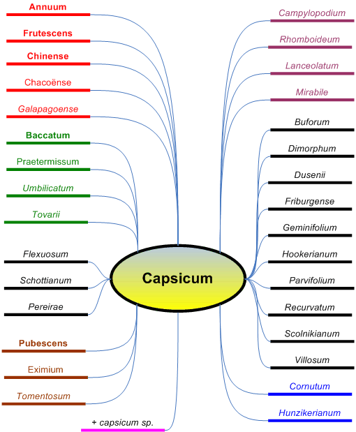 Capsicum 2006